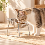 Gamelle surélevée inclinée en inox pour chat – photo 2