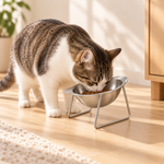 Gamelle surélevée inclinée en inox pour chat – photo 8